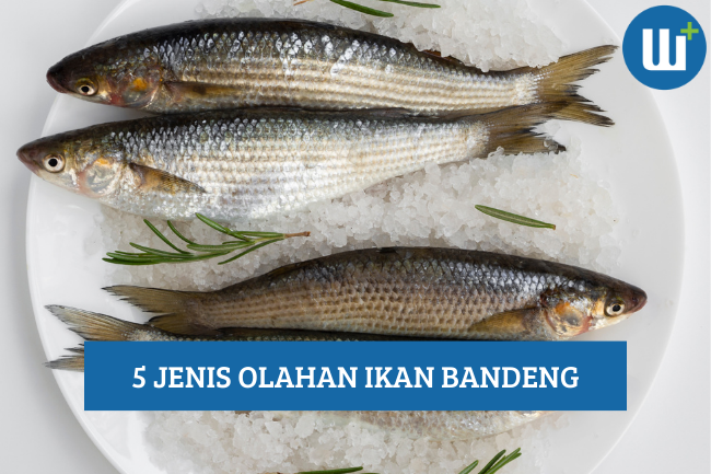 5 Jenis Olahan Ikan Bandeng yang Pasti Lezat